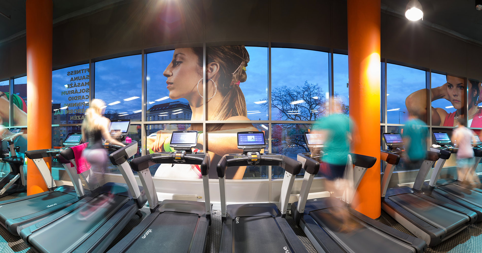 Fitness & Wellness
